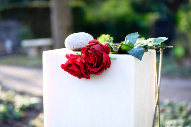 two red roses on a white tombstone