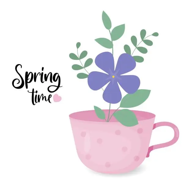 Vector illustration of Spring time poster. Periwinkle flower. Blooming purple Vinca minor with leaves in cup. Vector illustration in flat style.