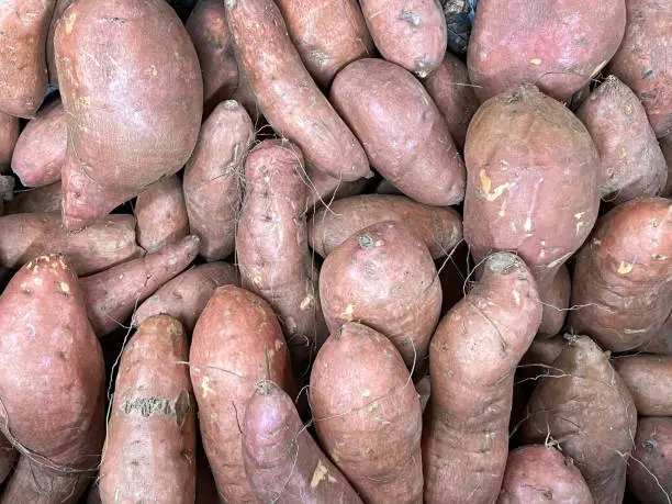 Sweet potatoes displayed at a market stand