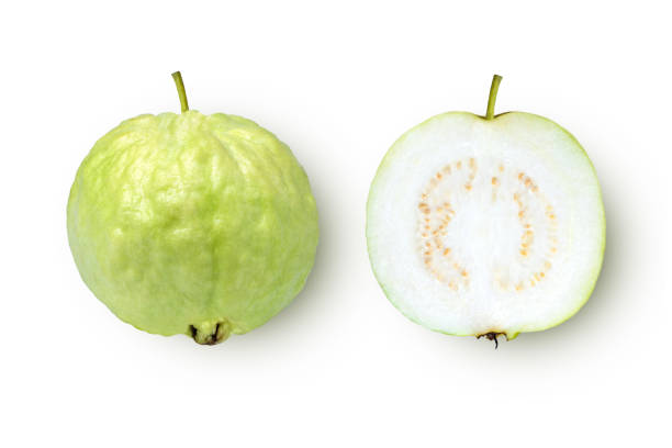 구아바 온 화이트 - guava vegetable tropical climate fruit 뉴스 사진 이미지