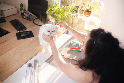 Ellie - Home Office with Pet Cat - Emotional Support Animal - Lady Brushing Cat