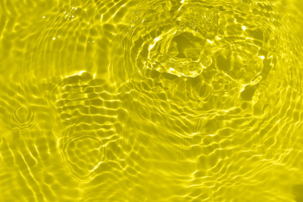 istock Defocus blurred transparent gold colored clear calm water surface texture with splashes and bubbles. Trendy abstract nature background. Water waves in sunlight with caustics. Yellow water shinning 1457245463