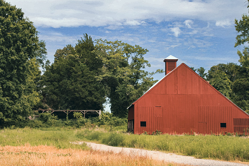 A red barn with overgrown shed