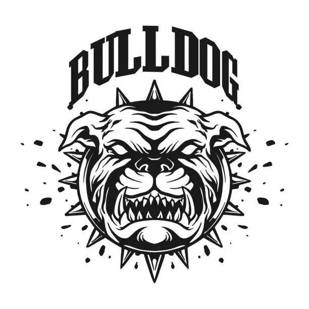 Vector illustration of Bulldog word hand lettering vintage logo mascot monochrome