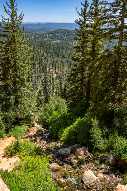istock Cascade Falls Trail in Dixie National Forest, Utah 1457250414