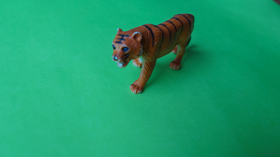 Tiger toys green background green screen close up toys