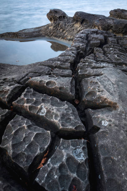 istock Hornby Island, British Columbia, Canada 1457262083