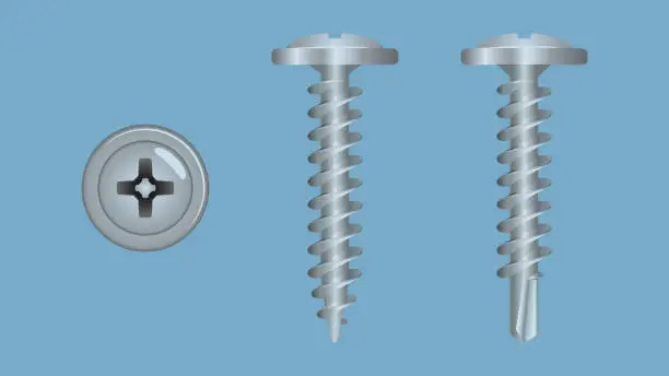 Vector illustration of Two types of self-tapping screws. Top and side view on blue background
