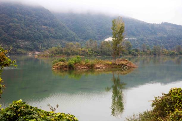 istock The reflection in Jarasum Island, Kyungkido 1457267658