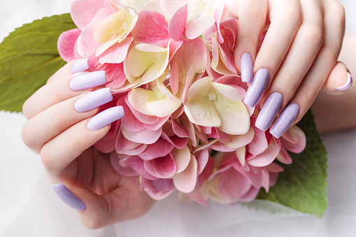 Girl's hands with delicate purple manicure and hydrangea flowers. The concept of beauty and body care.