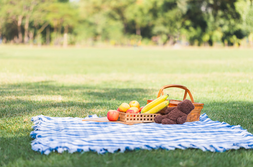 Picnic basket with fruit and doll on blue cloth in the garden