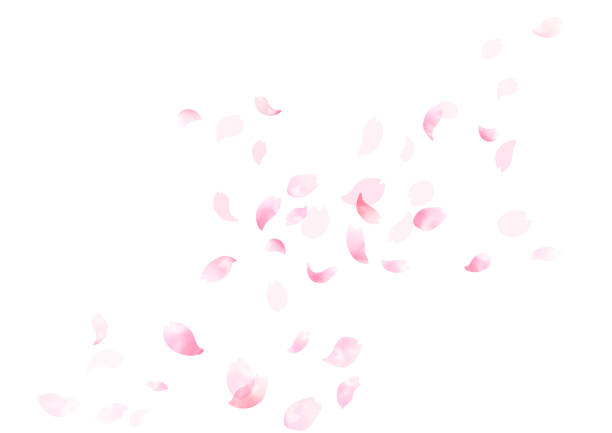風のフレームで踊る水彩の桜の花びら、背景 - 桜吹雪点のイラスト素材／クリップアート素材／マンガ素材／アイコン素材