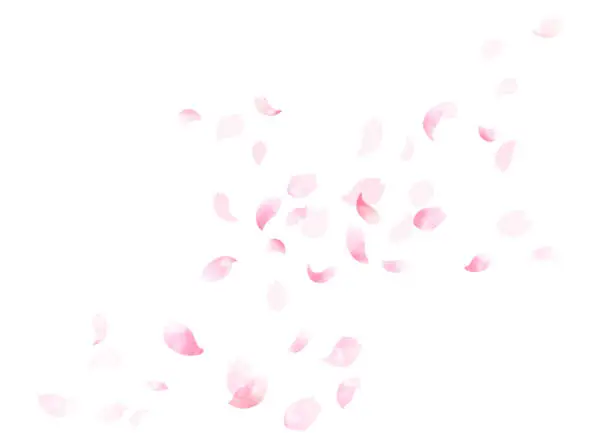 Vector illustration of Watercolor Cherry Petals Dancing in the Wind Frame, Background