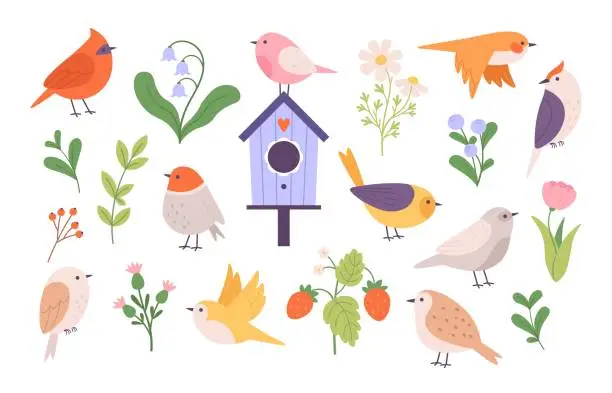 Vector illustration of Cute cartoon flat birds clipart. Bird and birdhouse, leaves, flowers and garden berries. Forest and gardening elements, springtime racy vector set