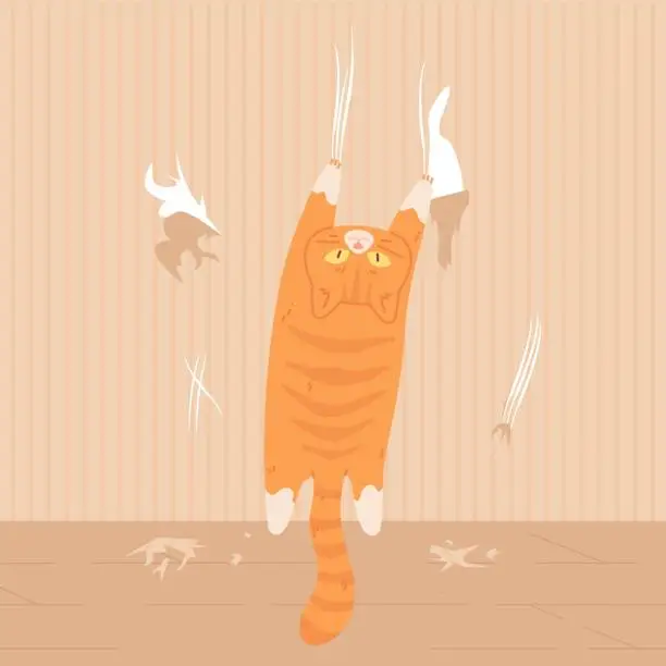 Vector illustration of Cat scratching wall. Sliding down or hanging kitten on claw slashed wallpaper, pet animal behavior problems, scared kitty climb destroying walls funny character vector illustration