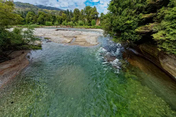 Waitahu river, Victoria Forest Park, Reefton, Buller district, south island, Aotearoa / New Zealand.