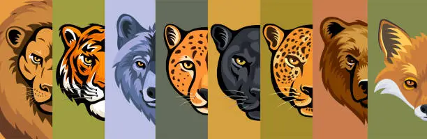 Vector illustration of Wild Animals Head. Mascot Creative Design. Banner.