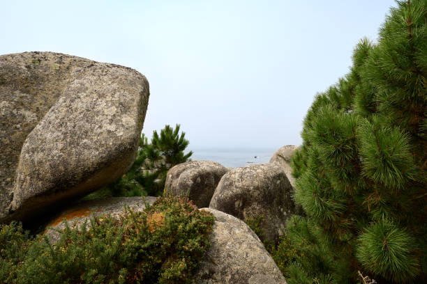 istock Galician beach with rocks and blue sky. Nature background. 1457296835