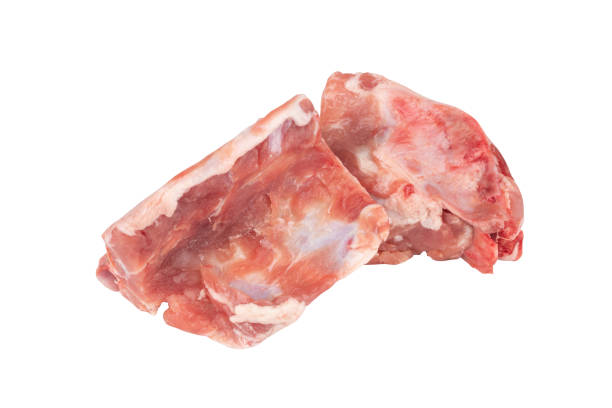 istock vertebrae pig isolated on white background 1457298413