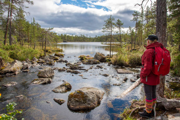 istock Woman hiking in forest 1457301662