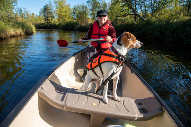 istock Woman canoeing with dog 1457301753