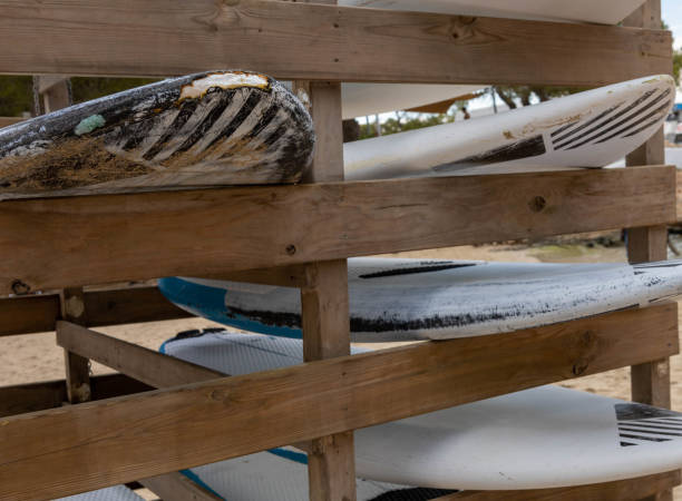 istock Surfboards in a surfboard rack 1457304799