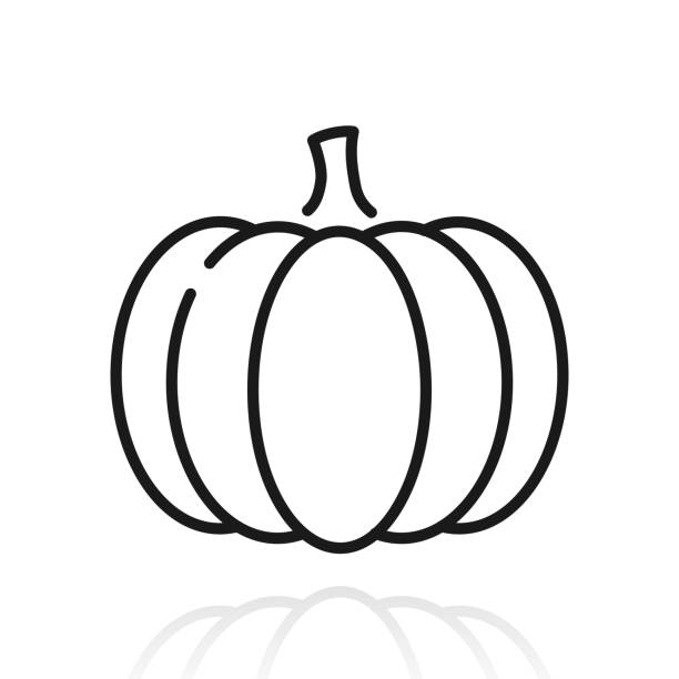 kürbis. symbol mit reflexion auf weißem hintergrund - pumpkin stock-grafiken, -clipart, -cartoons und -symbole