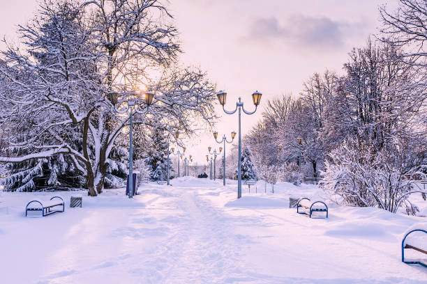 istock winter promenade for walking with a bench and a lantern 1457317122