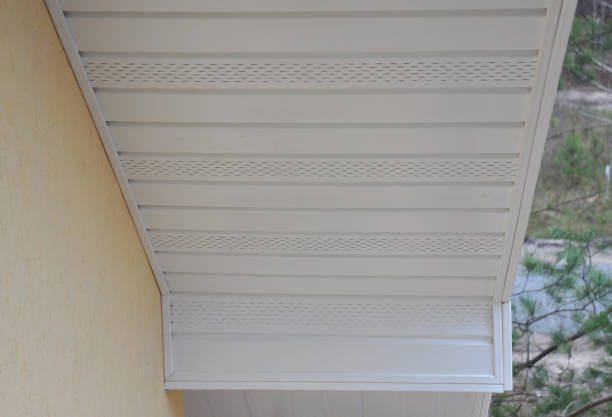 tablero de plástico de pvc blanco debajo de la fachada del techo. - viga característica arquitectónica fotografías e imágenes de stock