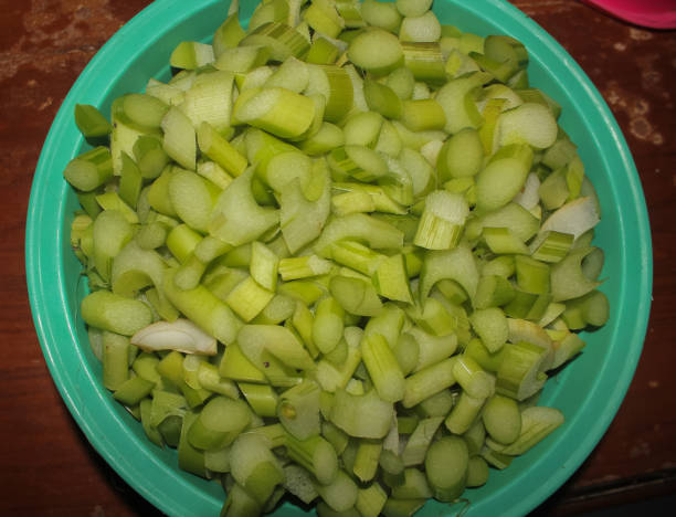 istock Leek vegetable photo Vegetable 1457321731