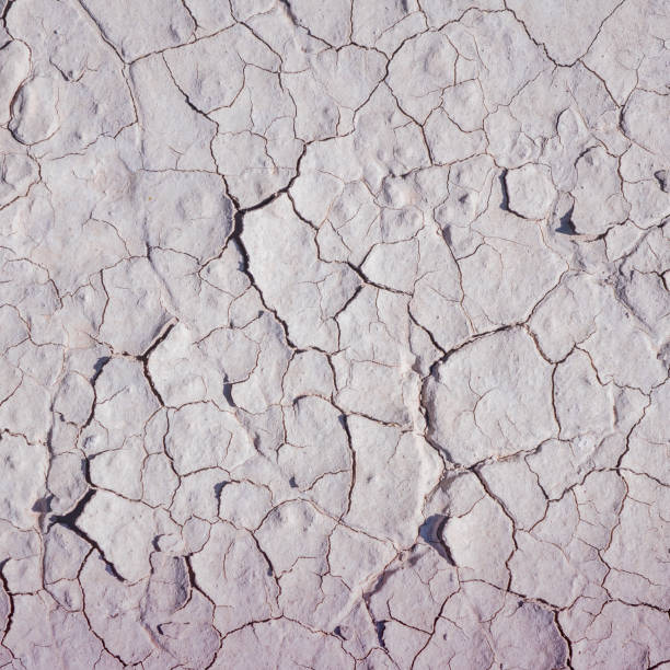 fundo natural - solo de lama rosa rachado - cracked dirt clay desert - fotografias e filmes do acervo