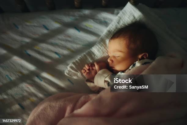 Sleeping Newborn Baby Girl Stock Photo - Download Image Now - Baby - Human Age, Sleeping, Crib
