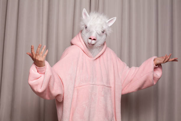 istock Person with lama head standing on studio wall background 1457336941