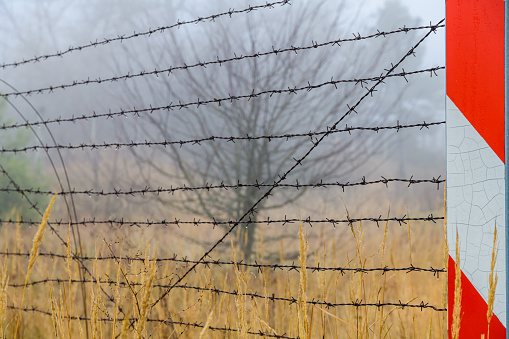 Barbed wire fence at Chernobyl exclusion zone, Ukraine