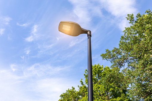 LED lantern for street lighting in a public park. Modern street lamp on a metal pole next to a green tree against the blue sky in bright sunny weather.