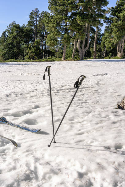 두 개의 스키 폴이 눈에 갇혔습니다. - ski resort winter sport apres ski ski slope 뉴스 사진 이미지
