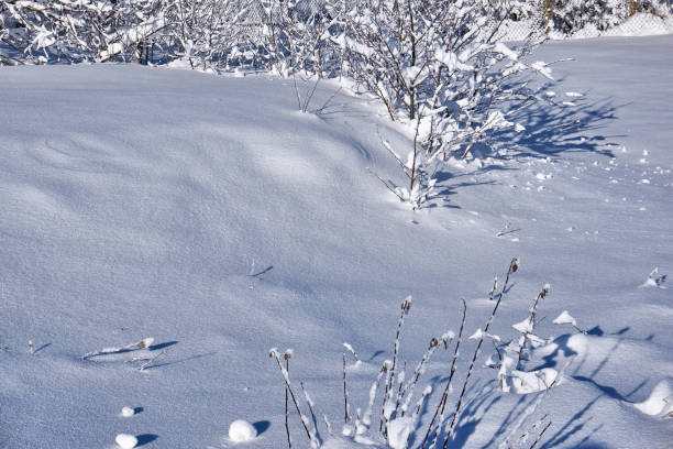 istock Beautiful and relaxing winter snowy landscape 1457348978