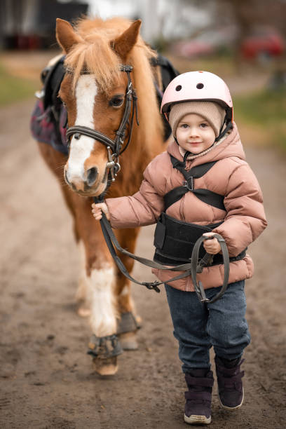 little girl in protective jacket and helmet with her brown pony before riding lesson - teaching child horseback riding horse imagens e fotografias de stock
