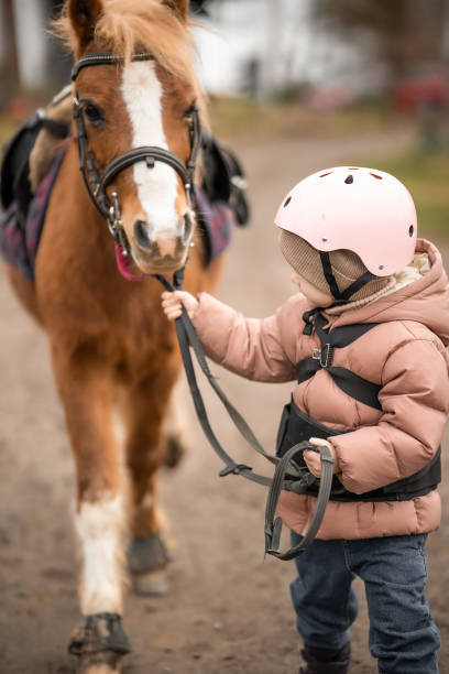 bambina in giacca protettiva e casco con il suo pony marrone prima di cavalcare lezione - teaching child horseback riding horse foto e immagini stock