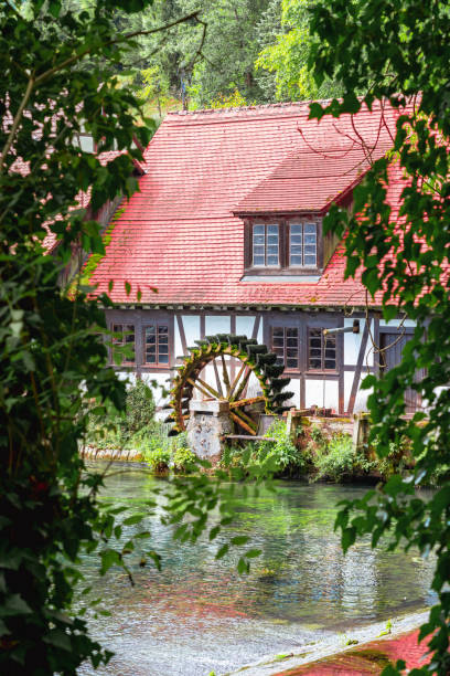 Water wheel covered with green moss.