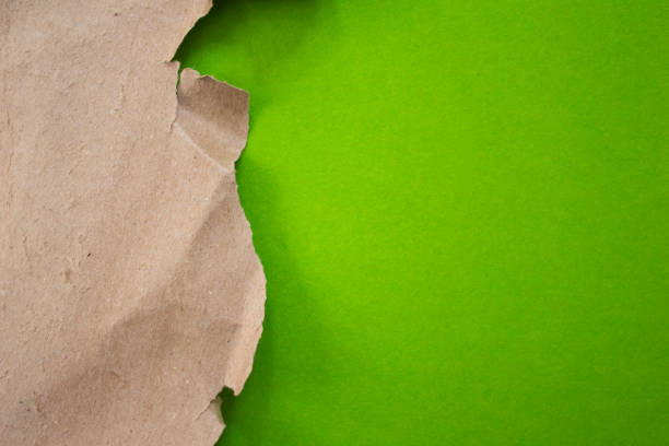 istock Torn cardboard piece on green background 1457361536