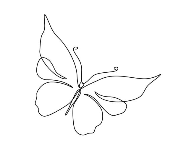 나비의 연속 한 선 그리기. 간단한 나비 라인 아트 벡터 그림입니다. - fly line art insect drawing stock illustrations