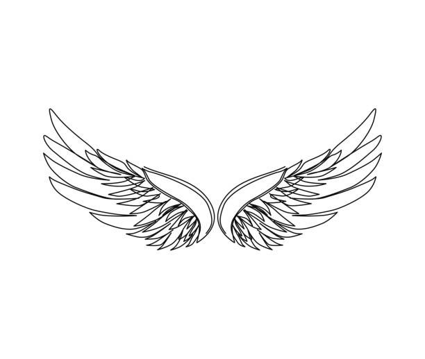Continuous one line drawing of wings. Simple scribble wings line art vector illustration. Continuous one line drawing of wings. Simple scribble wings line art vector illustration. continuous line drawing bird stock illustrations