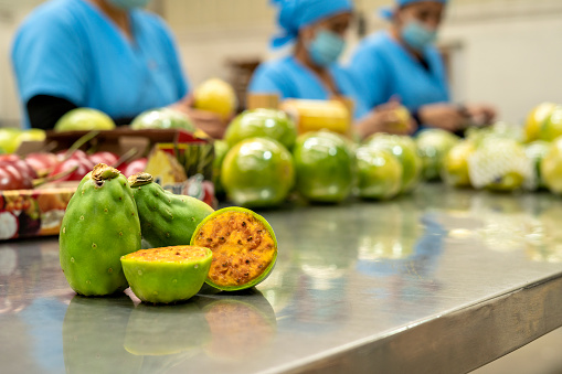 Close-up of prickly pear figs on a table in a factory, in the background uniformed women working in the production and sorting of fruit packaging.