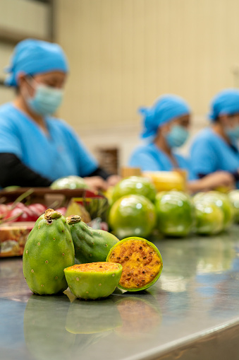 Close-up of prickly pear figs on a table in a factory, in the background uniformed women working in the production and sorting of fruit packaging.
