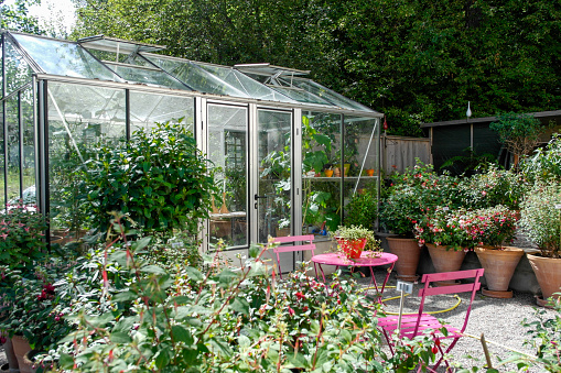 a close up of a flower garden with a greenhouse