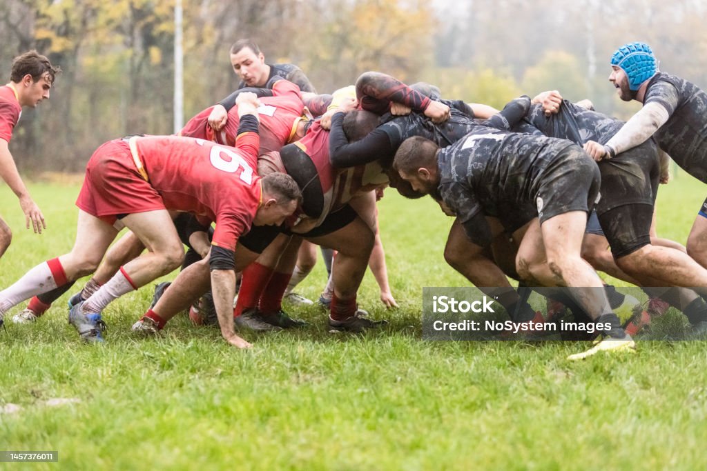 Rugby teams performing scrum Rugby teams performing scrum on match Rugby - Sport Stock Photo
