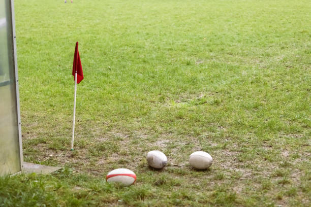 istock Rugby balls in a rugby field 1457376134