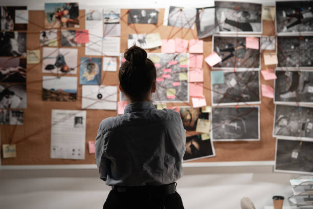 Female detective looking attentively at investigation board, back view. Female detective looking attentively at investigation board, back view. Copy space forensic science stock pictures, royalty-free photos & images