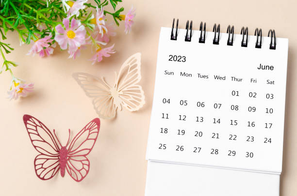 The June 2023 desk calendar for the organizer to plan, reminder and butterfly paer with flower on yellow background. stock photo
